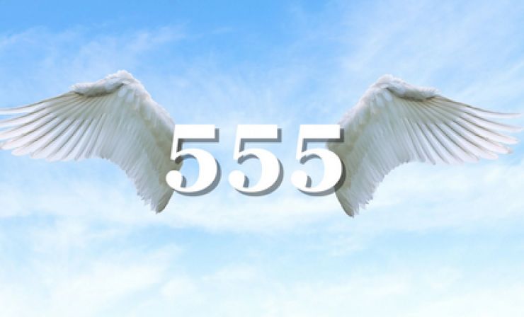Numero 555