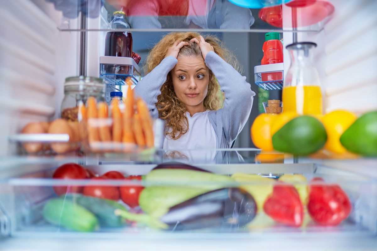 cibi freddi o caldi in frigo?