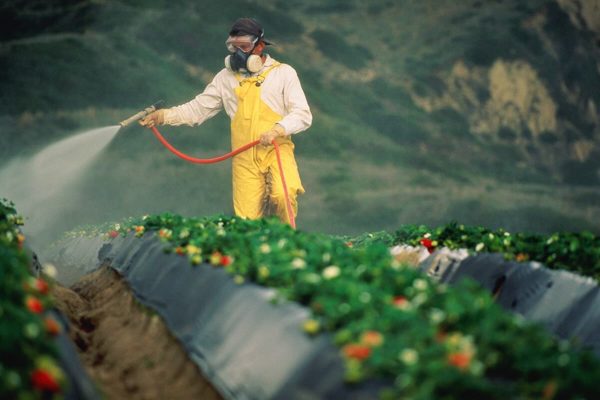 lavoratore che spruzza un pesticida