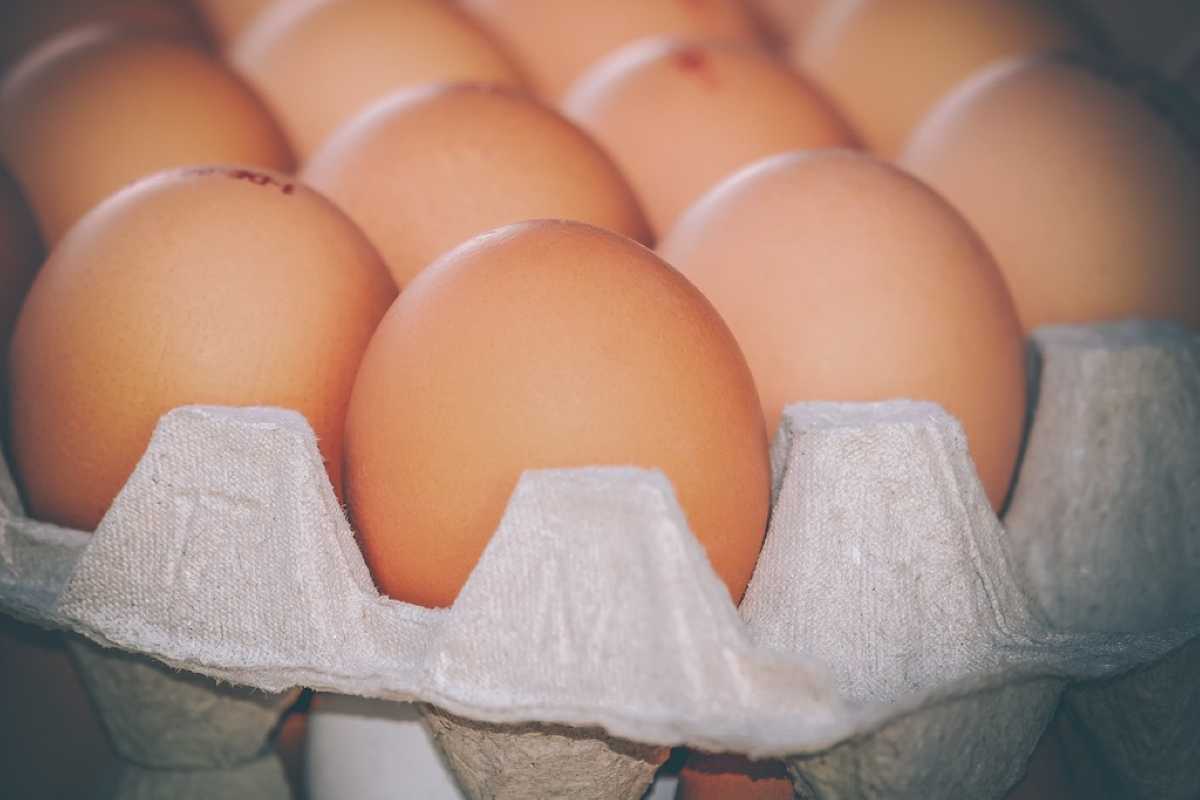 Controindicazioni delle uova