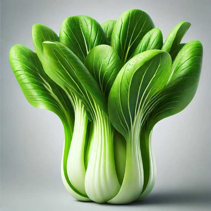 Pak Choi